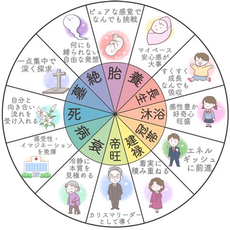 長生十二運|四柱推命の【十二運星】とは？意味・調べ方・エネルギーを解説